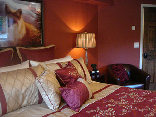 Bed and breakfast Fox Den